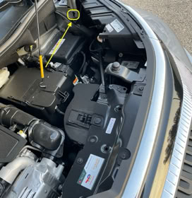 CITROEN_C3_AIRCROSS/NP/HAUBENSTÜTZE