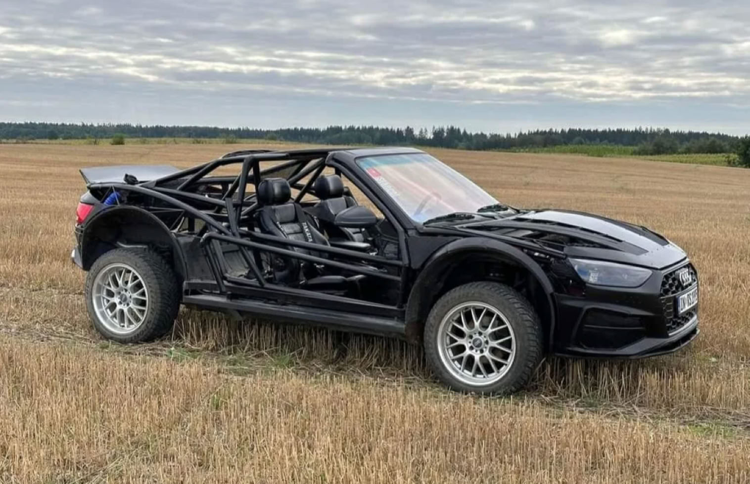 NPNEARLYPERFECT_NPKURIOSES_AUDI_QUATTRO_BUGGY