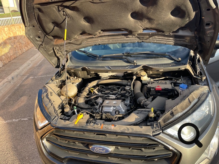 NP _FORDECOSPORT_MOTOR