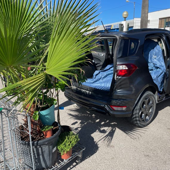 NP_FORDECOSPORT/NP_TESTING/NP_LUPE/NP_NEARLY_PERFECT/NEARLY_PERFECT/NP/ARMIN_RUSCHEINSKY/NEARLYPERFEFCT