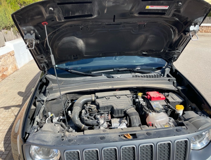 MOTOR_JEEP_RENEGADE
