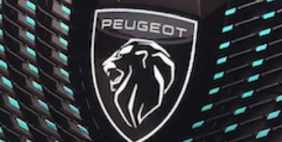 PEUGEOT NP NEARLY PERFECT NPNEARLYPERFECT