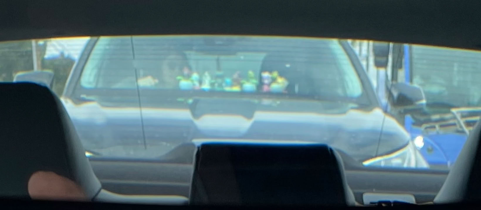 MUPPETS SAN DIEGO NP NEARLY PERFECT 